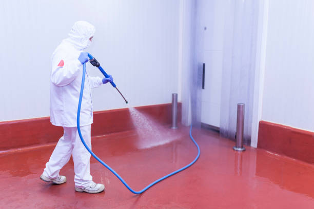 Best Solar Panel Cleaning  in Bergenfield, NJ