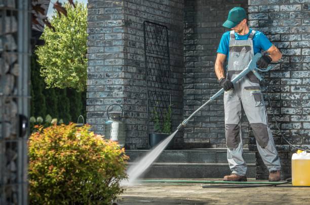 Animal Enclosure Cleaning in Bergenfield, NJ